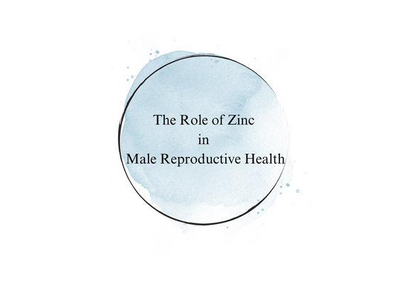 The Role of Zinc in Male Reproductive Health